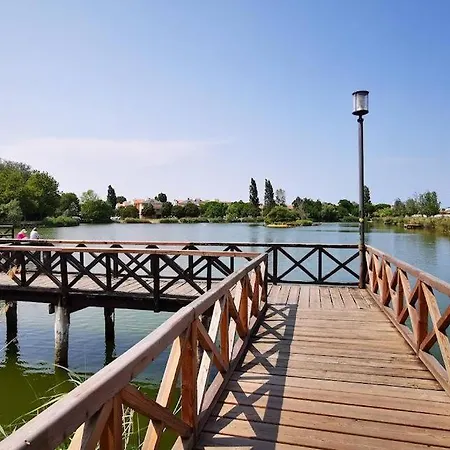 Adriatico Hotel Bellaria-Igea Marina