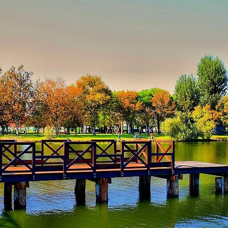 Otel Adriatico Bellaria-Igea Marina