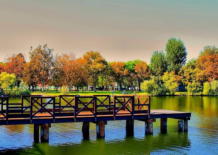 Otel Adriatico Bellaria-Igea Marina